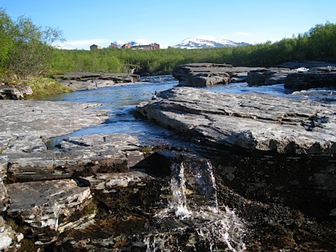 Abisko Juni 2009 dag 5 - 39.jpg